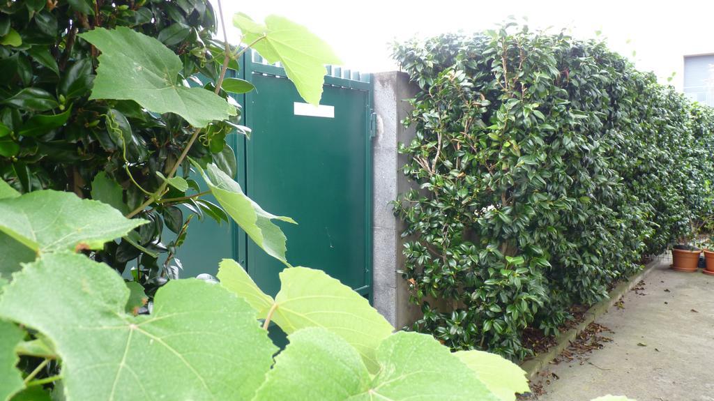 Azores Holidays House -B&B - Suites - Self Check-In Keyboard Ponta Delgada Kültér fotó